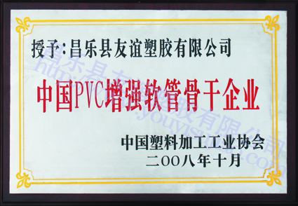 中國pvc鋼絲軟管骨干企業(yè)